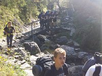 zloty lisc 2016 (28)